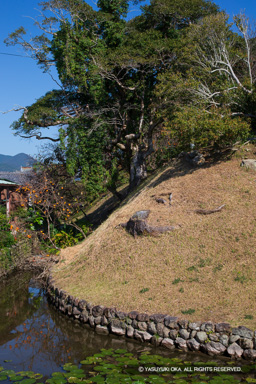 水堀と土居 | 高解像度画像サイズ：3456 x 5184 pixels | 写真番号：1DXL7817 | 撮影：Canon EOS-1D X