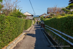 土居郭中 | 高解像度画像サイズ：5184 x 3456 pixels | 写真番号：1DXL7821 | 撮影：Canon EOS-1D X