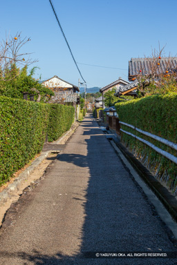 土居郭中 | 高解像度画像サイズ：3456 x 5184 pixels | 写真番号：1DXL7822 | 撮影：Canon EOS-1D X