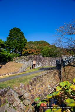 安芸城大手口 | 高解像度画像サイズ：3456 x 5184 pixels | 写真番号：1DXL7855 | 撮影：Canon EOS-1D X