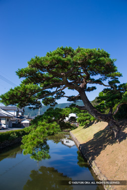 水堀と土居 | 高解像度画像サイズ：3456 x 5184 pixels | 写真番号：1DXL7860 | 撮影：Canon EOS-1D X
