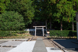 脇段・藤崎神社・土佐藩家老後藤家を祀る | 高解像度画像サイズ：5184 x 3456 pixels | 写真番号：1DXL7899 | 撮影：Canon EOS-1D X