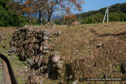 東側の土塁石垣 | 高解像度画像サイズ：5184 x 3456 pixels | 写真番号：1DXL7905 | 撮影：Canon EOS-1D X