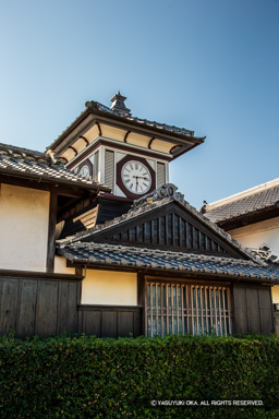 野良時計 | 高解像度画像サイズ：3456 x 5184 pixels | 写真番号：1DXL7945 | 撮影：Canon EOS-1D X