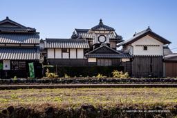 野良時計 | 高解像度画像サイズ：4506 x 3004 pixels | 写真番号：1DXL7950 | 撮影：Canon EOS-1D X