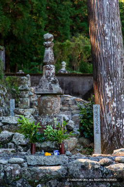 安芸国虎の墓・浄貞寺 | 高解像度画像サイズ：3429 x 5144 pixels | 写真番号：1DXL8008 | 撮影：Canon EOS-1D X