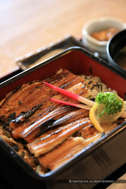 穴子弁当｜高解像度画像サイズ：3744 x 5616 pixels｜写真番号：1P3J4898｜撮影：Canon EOS-1Ds Mark III