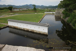 ｜高解像度画像サイズ：5616 x 3744 pixels｜写真番号：1P3J4955｜撮影：Canon EOS-1Ds Mark III