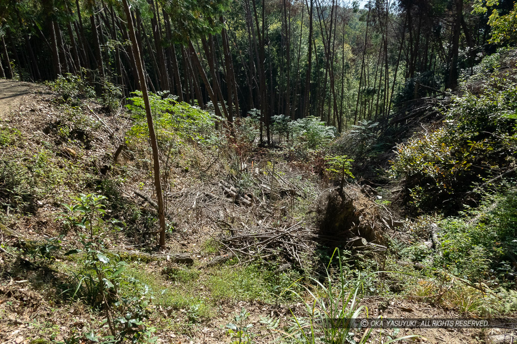 芥川山城の竪堀