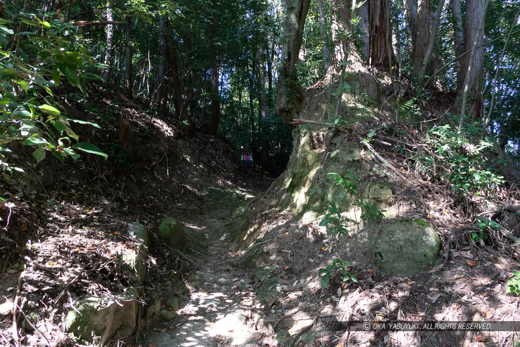 芥川山城の切り通し