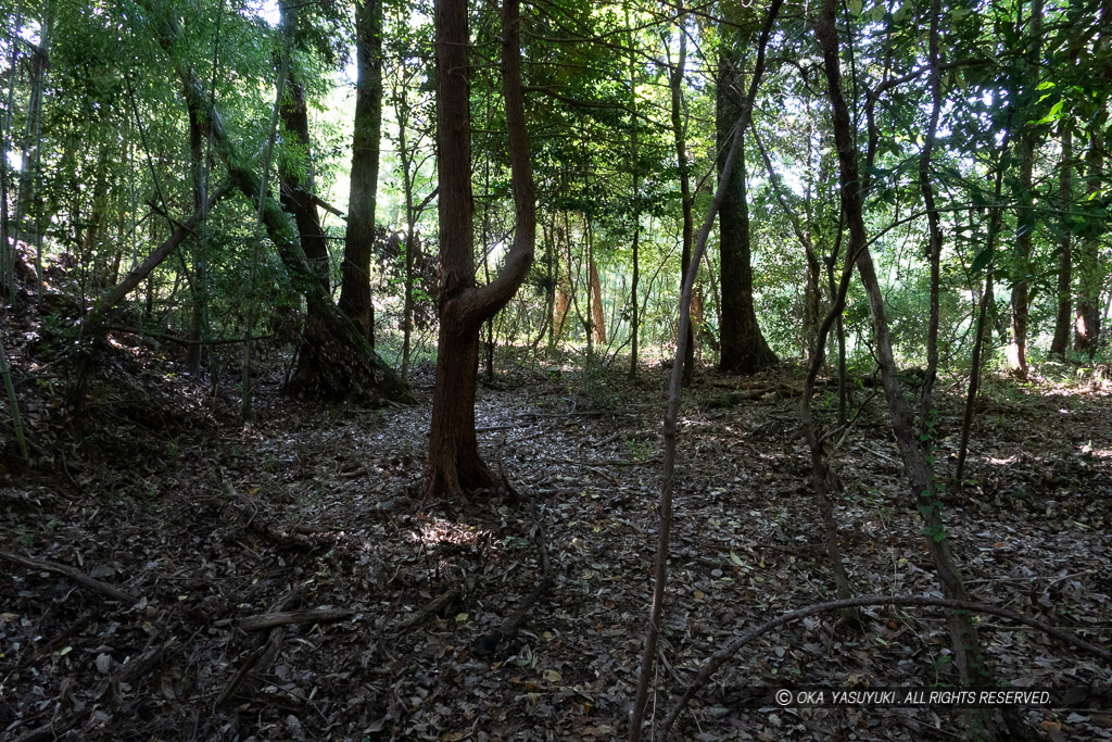 芥川山城の東郭の帯曲輪