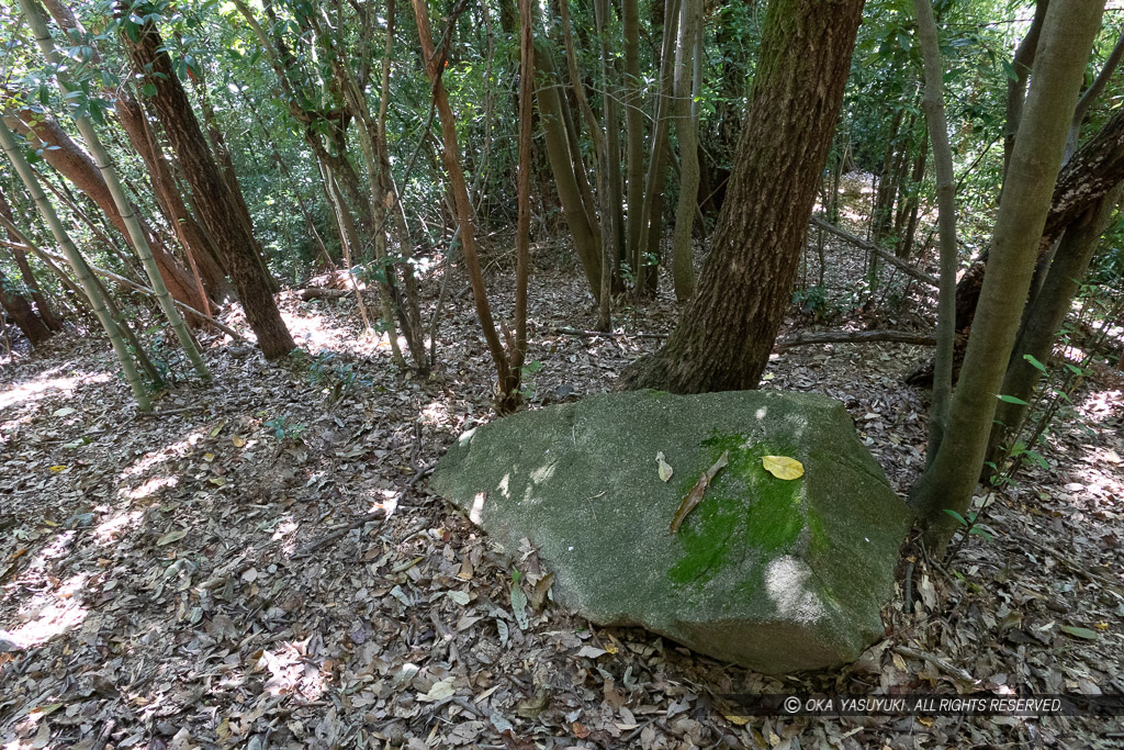 芥川山城の東郭の石垣石