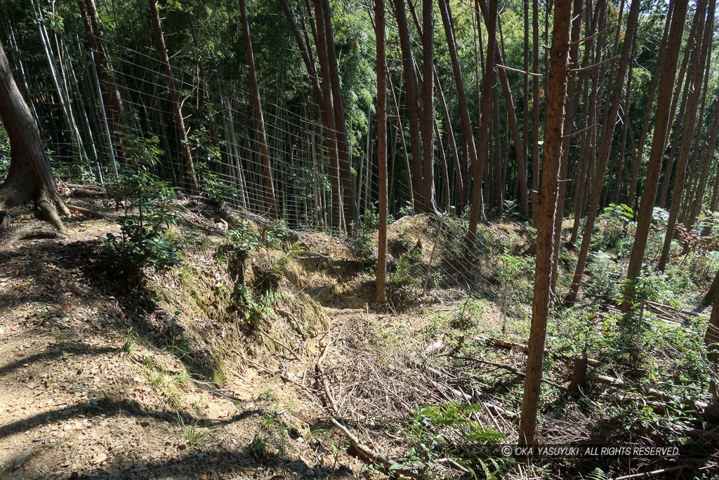 芥川山城の竪土塁