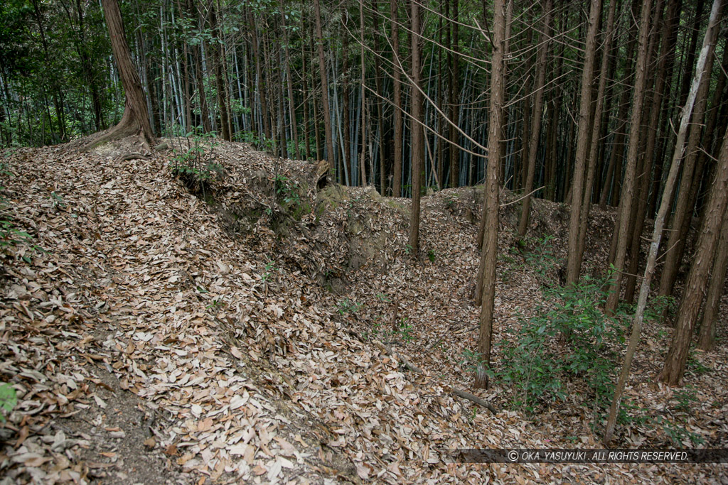 芥川山城の竪土塁（2007年）