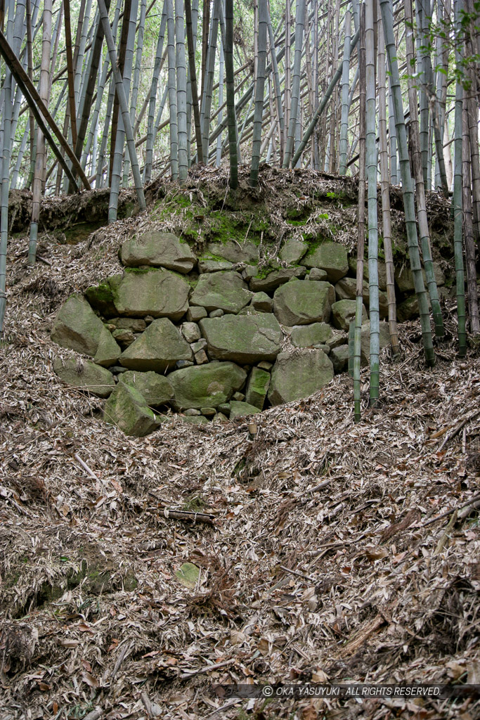 芥川山城の大手石垣（2007年）