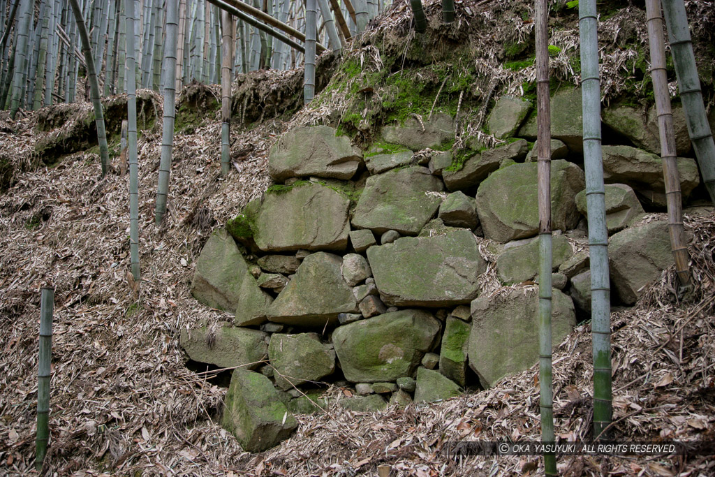 芥川山城の大手石垣（2007年）