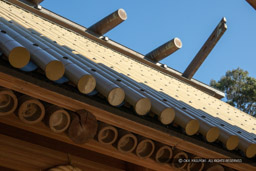上宮天満宮・竹の本殿|高解像度画像サイズ:6000 x 4000 pixels|写真番号:IMG_6745|撮影:Canon PowerShot G1 X Mark III