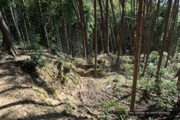 芥川山城の竪土塁|高解像度画像サイズ:6000 x 4000 pixels|写真番号:IMG_6844|撮影:Canon PowerShot G1 X Mark III