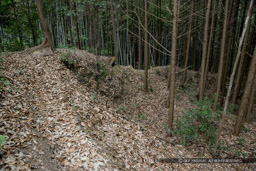 芥川山城の竪土塁（2007年）｜高解像度画像サイズ：4992 x 3328 pixels｜写真番号：VJ7Z0536｜撮影：Canon EOS-1Ds Mark II
