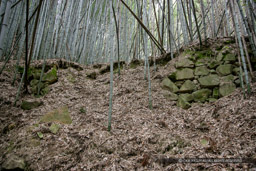 芥川山城の大手石垣(2007年)|高解像度画像サイズ:4992 x 3328 pixels|写真番号:VJ7Z0553|撮影:Canon EOS-1Ds Mark II