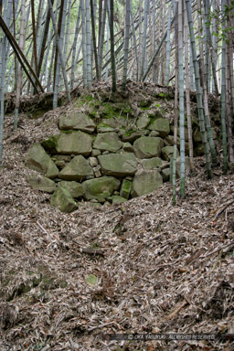 芥川山城の大手石垣（2007年）｜高解像度画像サイズ：3328 x 4992 pixels｜写真番号：VJ7Z0556｜撮影：Canon EOS-1Ds Mark II