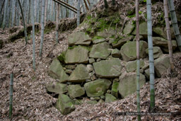 芥川山城の大手石垣(2007年)|高解像度画像サイズ:4992 x 3328 pixels|写真番号:VJ7Z0559|撮影:Canon EOS-1Ds Mark II