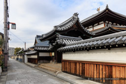 尼崎寺町の風景｜高解像度画像サイズ：8192 x 5464 pixels｜写真番号：344A9384｜撮影：Canon EOS R5