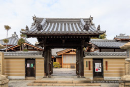 大覚寺｜高解像度画像サイズ：8192 x 5464 pixels｜写真番号：344A9385｜撮影：Canon EOS R5