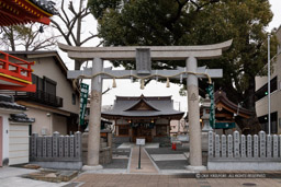 潮江素盞嗚神社｜高解像度画像サイズ：8192 x 5464 pixels｜写真番号：344A9469｜撮影：Canon EOS R5