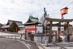 櫻井神社｜高解像度画像サイズ：6720 x 4480 pixels｜写真番号：5D4A4979｜撮影：Canon EOS 5D Mark IV