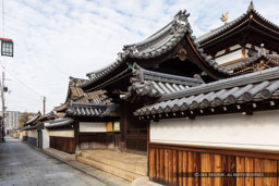 尼崎の寺町｜高解像度画像サイズ：6720 x 4480 pixels｜写真番号：5D4A5132｜撮影：Canon EOS 5D Mark IV