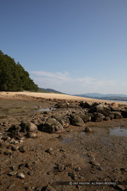 甘崎城に残る石列 石垣の根石｜高解像度画像サイズ：4480 x 6720 pixels｜写真番号：_D4A1432｜撮影：Canon EOS 5D Mark IV