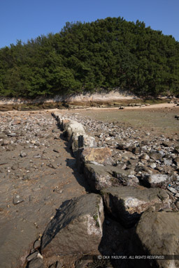 甘崎城に残る石列 石垣の根石｜高解像度画像サイズ：4480 x 6720 pixels｜写真番号：_D4A1434｜撮影：Canon EOS 5D Mark IV