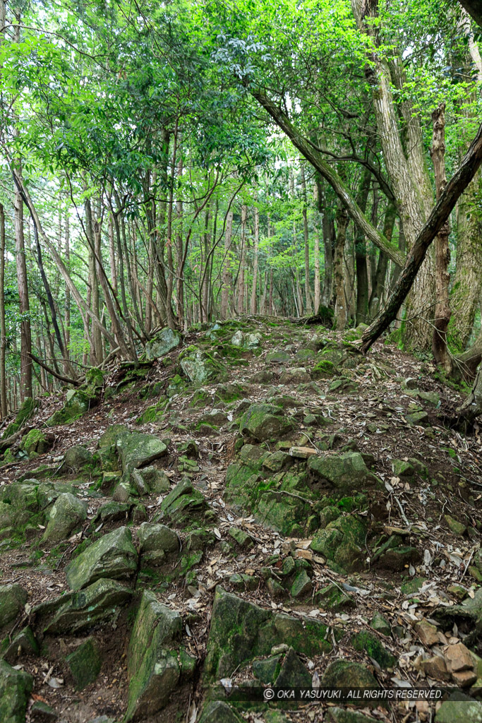 登城路