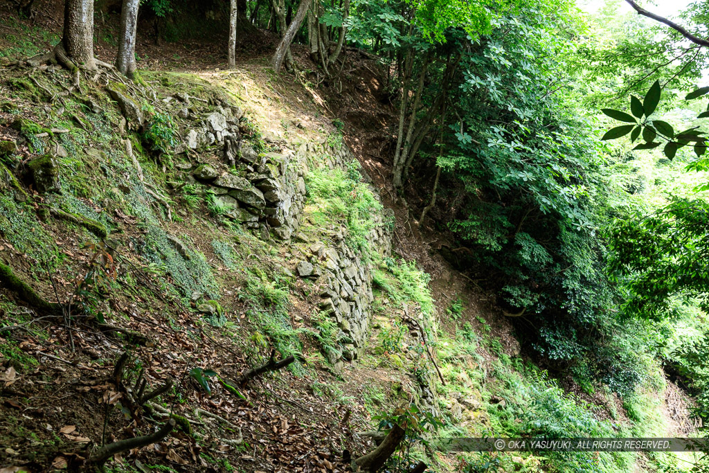 有子山城井戸郭下石垣