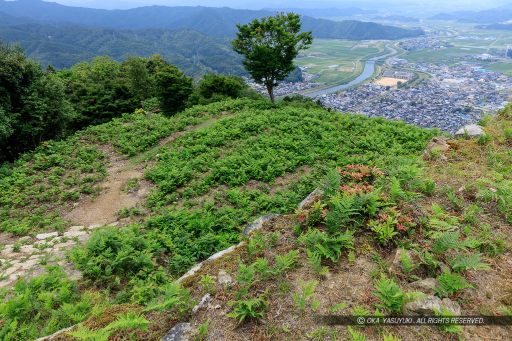 有子山城二の郭