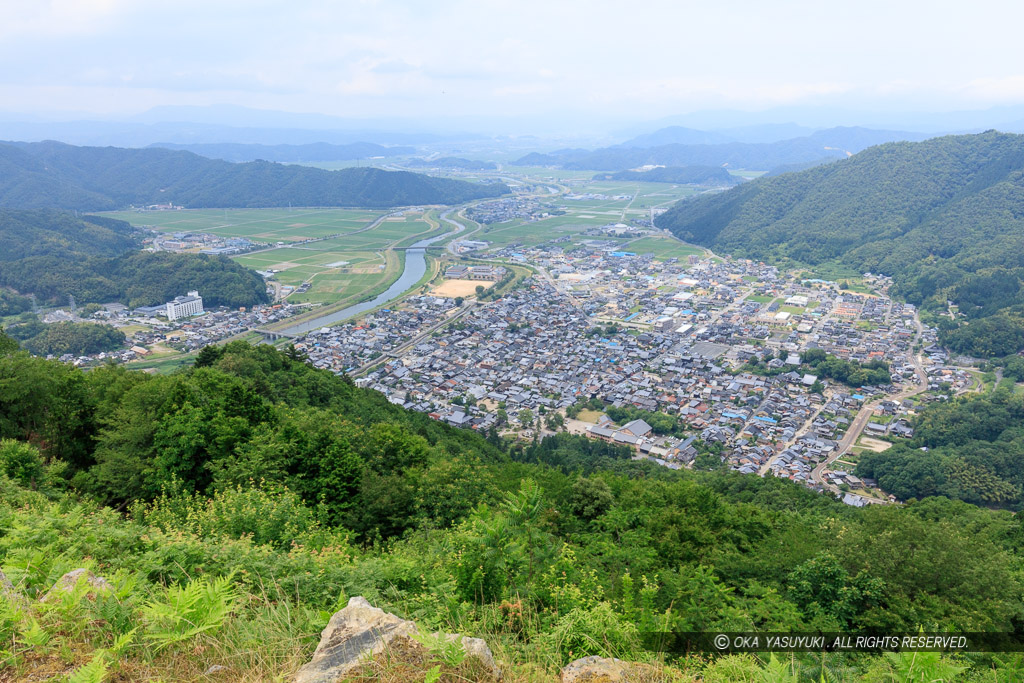 有子山城から出石城下を望む・新緑