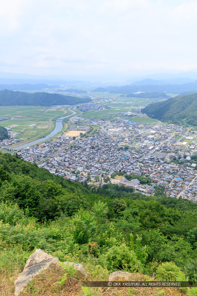 有子山城から出石城下を望む・新緑