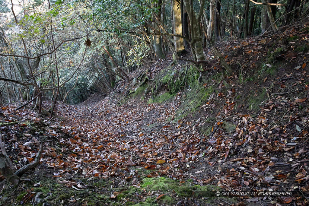 登城路付近の竪堀