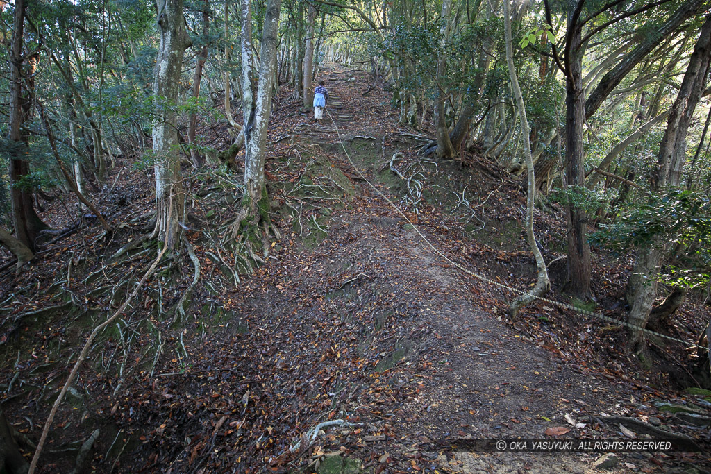 有子山城登城路にある堀切と土橋