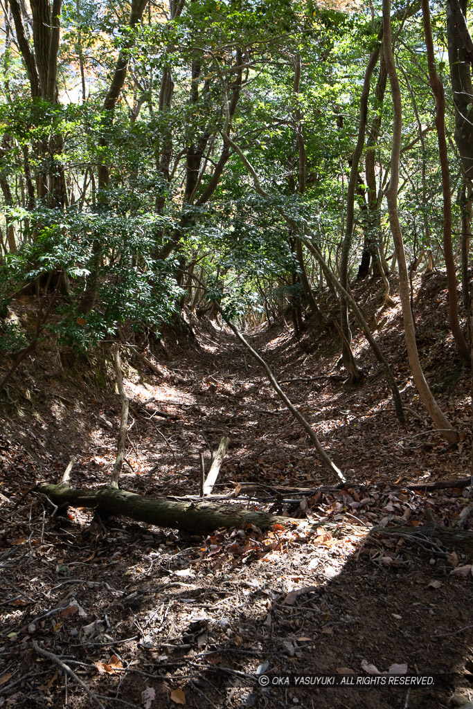 東側尾根の竪堀