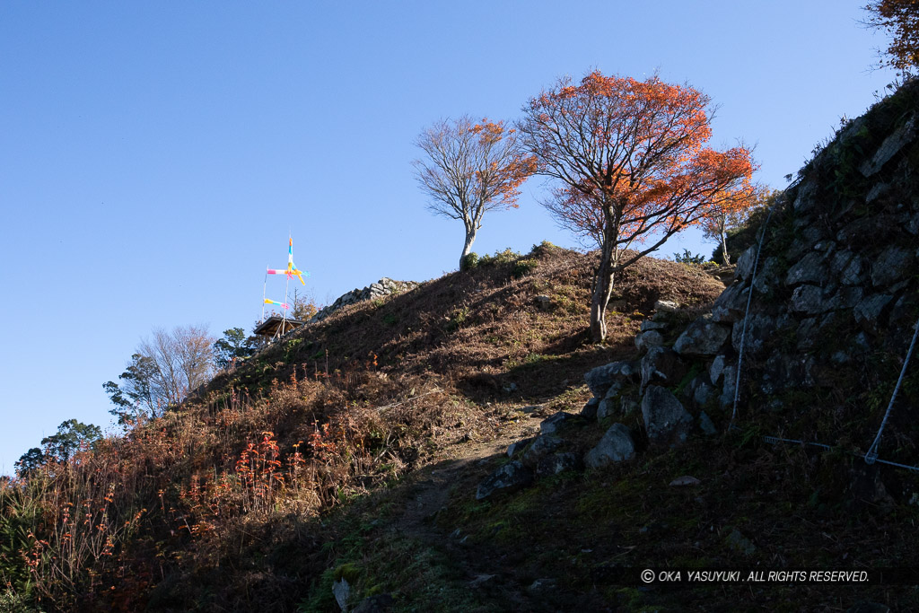 有子山城の紅葉