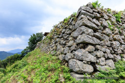 有子山城主郭北面石垣｜高解像度画像サイズ：8688 x 5792 pixels｜写真番号：5DSA8741｜撮影：Canon EOS 5DS