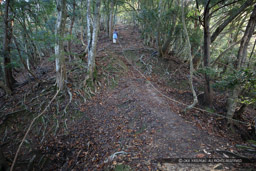 有子山城登城路にある堀切と土橋｜高解像度画像サイズ：6000 x 4000 pixels｜写真番号：IMG_0969｜撮影：Canon EOS KISS M