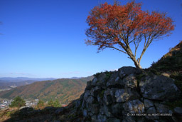 有子山城の紅葉｜高解像度画像サイズ：6000 x 4000 pixels｜写真番号：IMG_0998｜撮影：Canon EOS KISS M