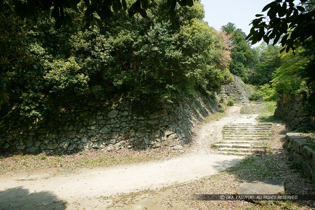 二の丸石垣と登城道