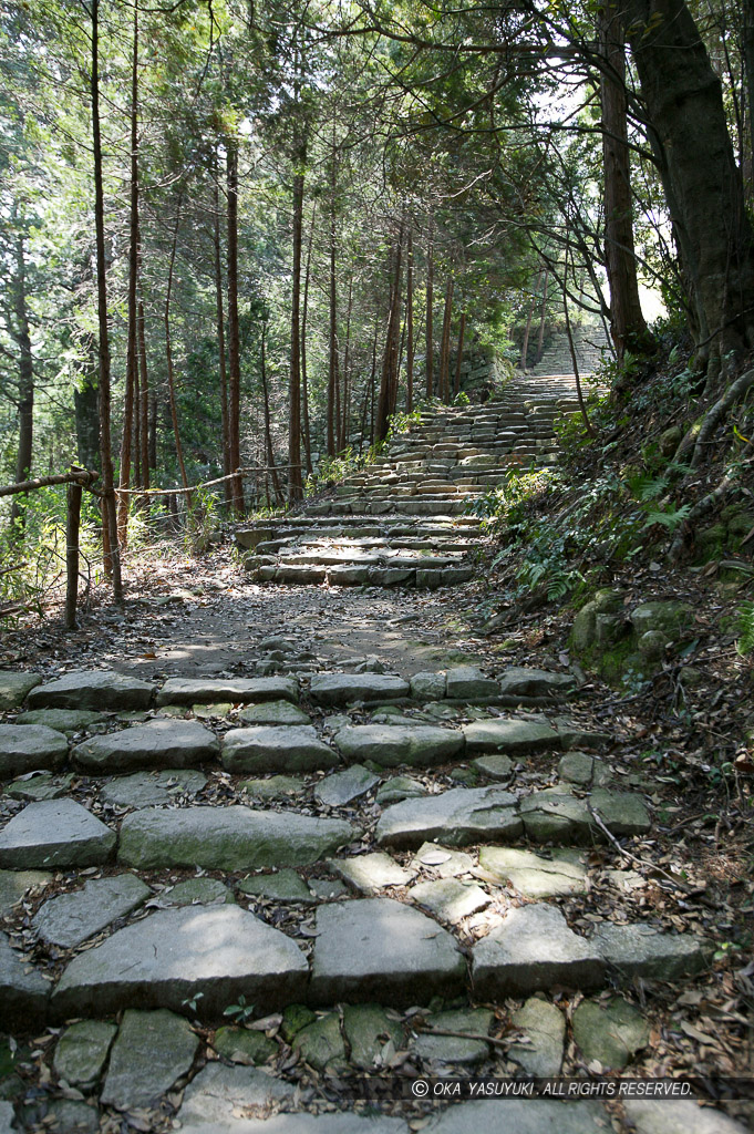 百々橋方面（總見寺跡方面）への道