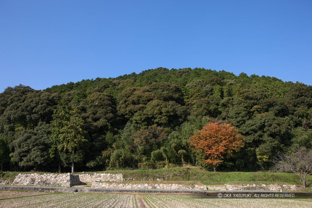 安土山南面山裾部虎口