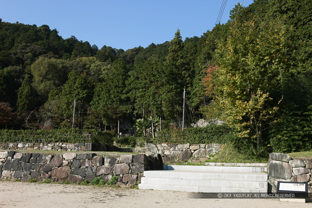 大手口東側平虎口