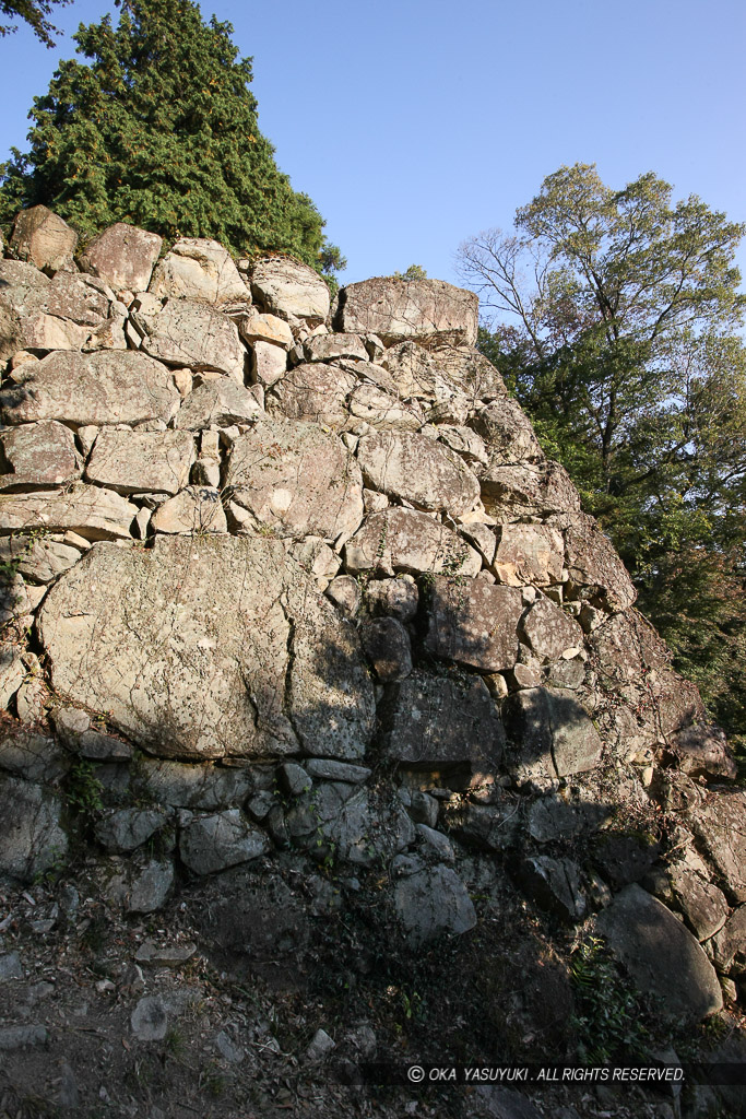 二の丸櫓台石垣・鏡石